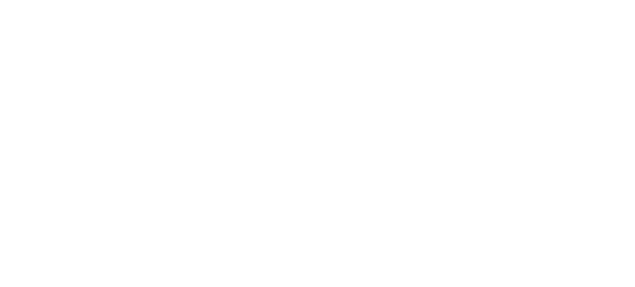 The Hair Studio Logo